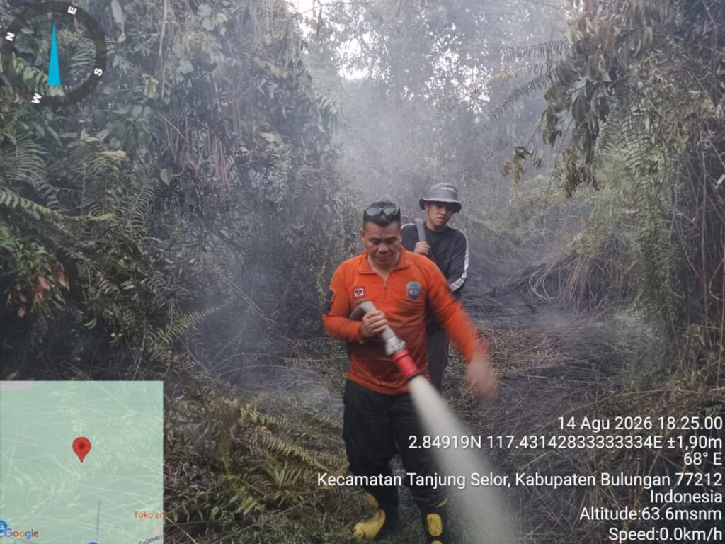 Karhutla di Sejumlah Wilayah Kaltara Berhasil Dipadamkan, Dishut Perkuat Kesiapsiagaan